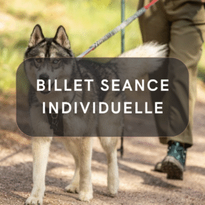 Billet Séance Individuelle