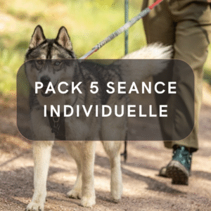 Pack 5 Séance Individuelle