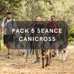 Pack 5 Séance Canicross