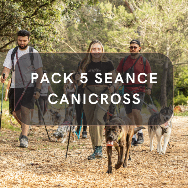 Pack 5 Séance Canicross