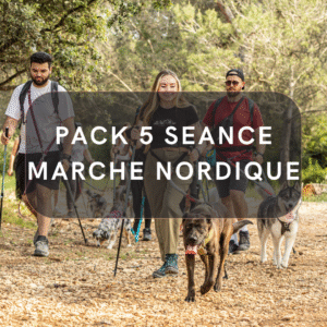 Pack 5 Séance Cani Marche Nordique
