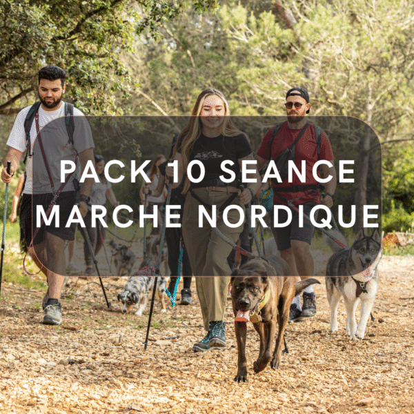 Pack 10 Séance Cani Marche Nordique